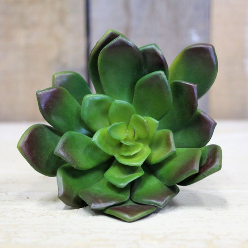 Succulent Pick 12cm Succulent Pick 12cm