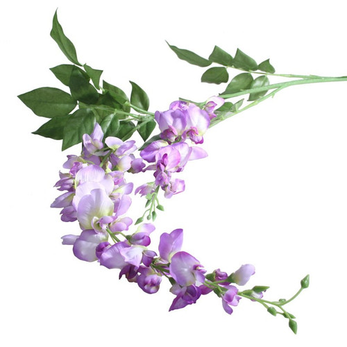 Garden Wisteria Lilac Garden Wisteria Lilac