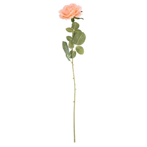 Arundel Open Rose Peach Arundel Open Rose Peach