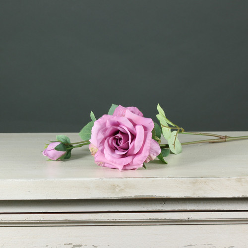 Tintagel Spray Rose Mauve Pink Tintagel Spray Rose Mauve Pink