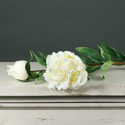Tintagel Spray Peony Cream Tintagel Spray Peony Cream