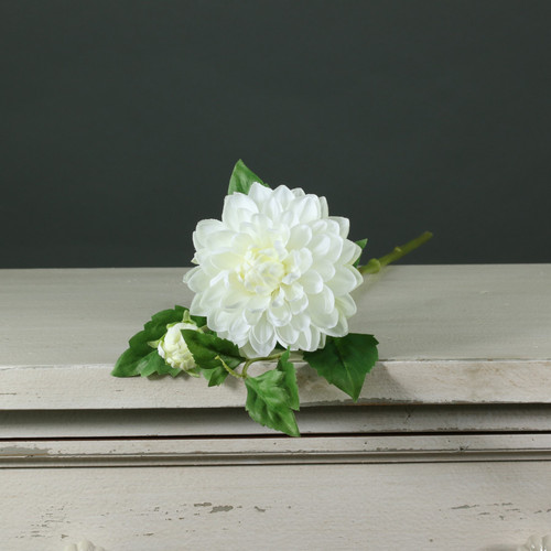 Tintagel Spray Dahlia White Tintagel Spray Dahlia White
