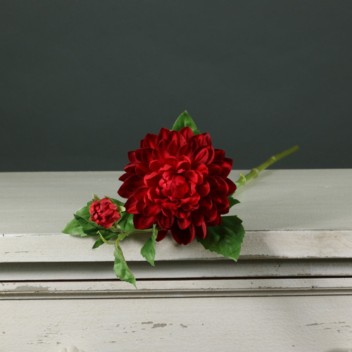 Tintagel Spray Dahlia Red Tintagel Spray Dahlia Red