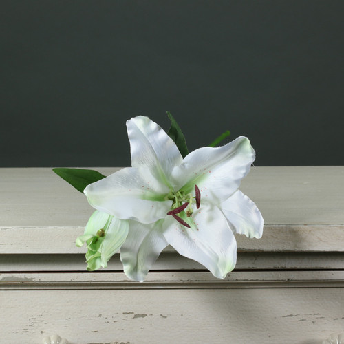 Tintagel Lily White Tintagel Lily White
