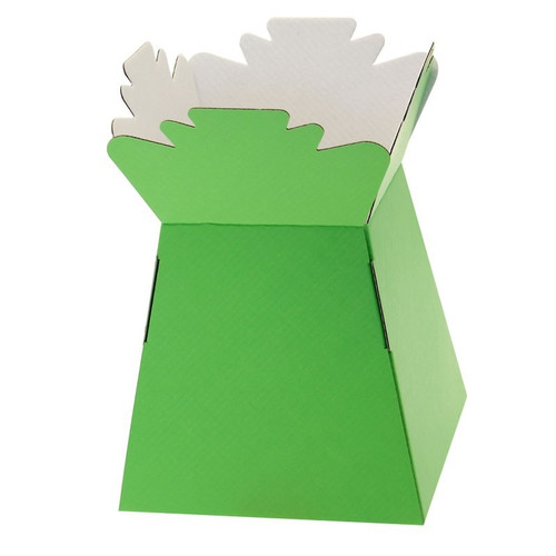 Lime Green Living Vase Lime Green Living Vase