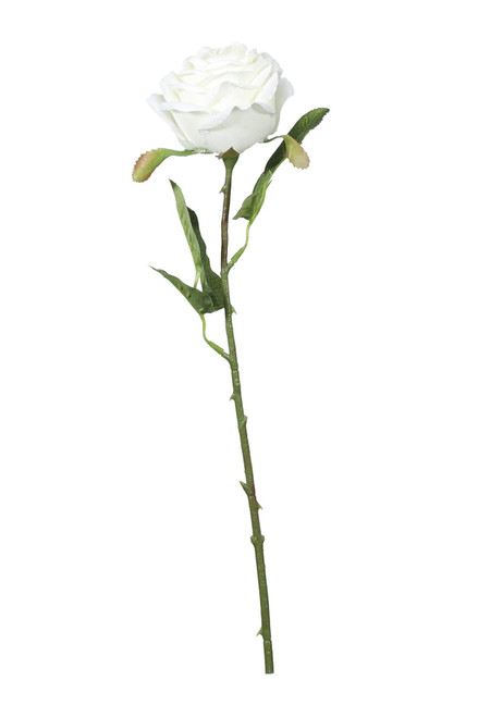 Cream Fantasia Rose (51cm)