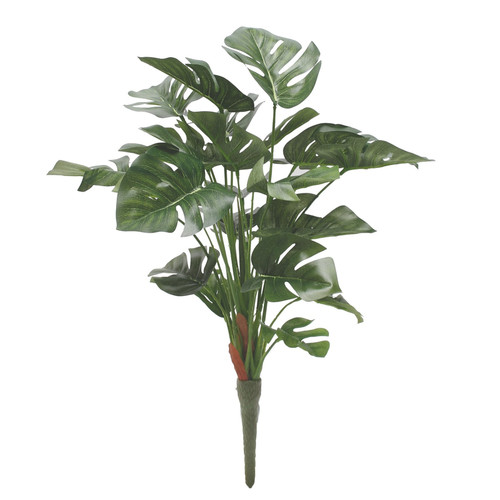 Split Philo Plant 46cm Split Philo Plant 46cm