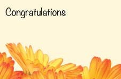 Congratulations Orange Gerbera Greeting Card (x50) Congratulations Orange Gerbera Greeting Card (x50)