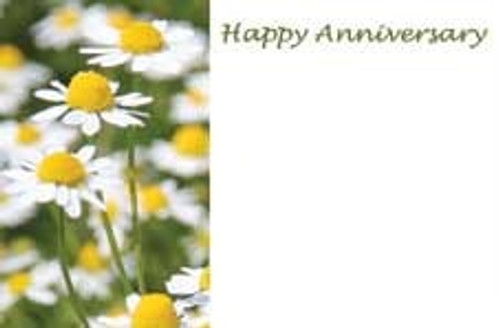 Happy Anniversary Daisies Greeting Card (x50) Happy Anniversary Daisies Greeting Card (x50)