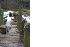 Fishing Design Greeting Card (x50)