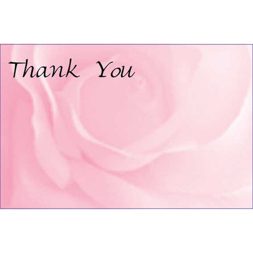 Thank You - Pale Pink Rose Card (x50)