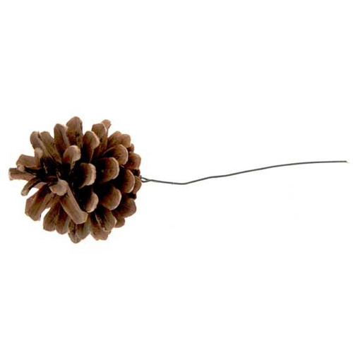 Austriaca Cones on Wire (pack of 150)