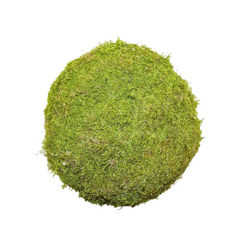 10cm Moss Ball 10cm Moss Ball