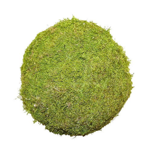 15cm Flat Moss Ball 15cm Flat Moss Ball