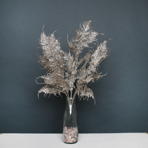 Champagne Glitter Fern Bush Champagne Glitter Fern Bush