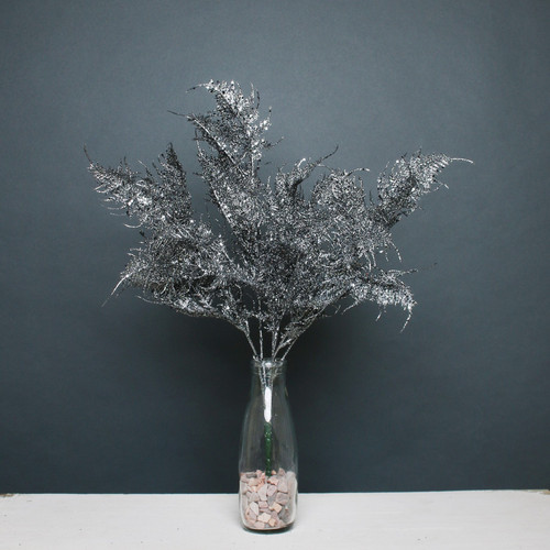 Pewter Glitter fern bush Pewter Glitter fern bush