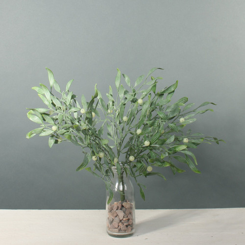 Exterior Mistletoe bush Exterior Mistletoe bush