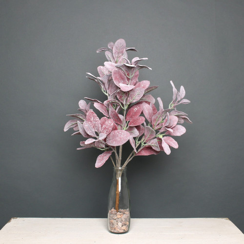 Lambs ear bush flocked glitter Burgundy Lambs ear bush flocked glitter Burgundy