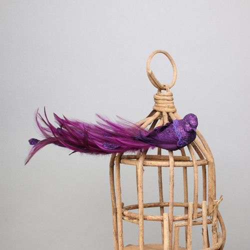 Purple Lyre Bird Glitter with clip Purple Lyre Bird Glitter with clip