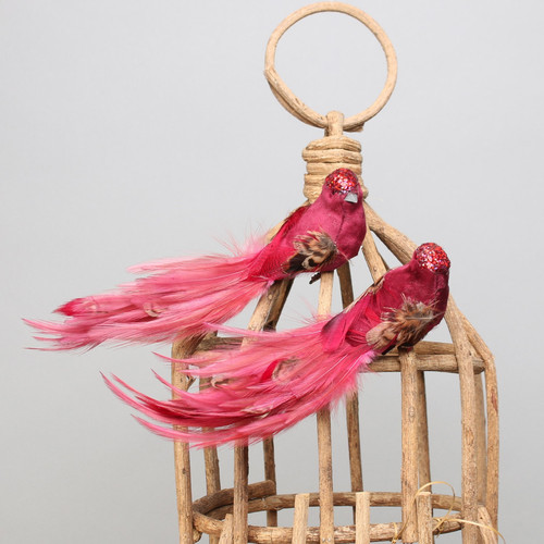 Red Pretty Bird with clip Red Pretty Bird with clip