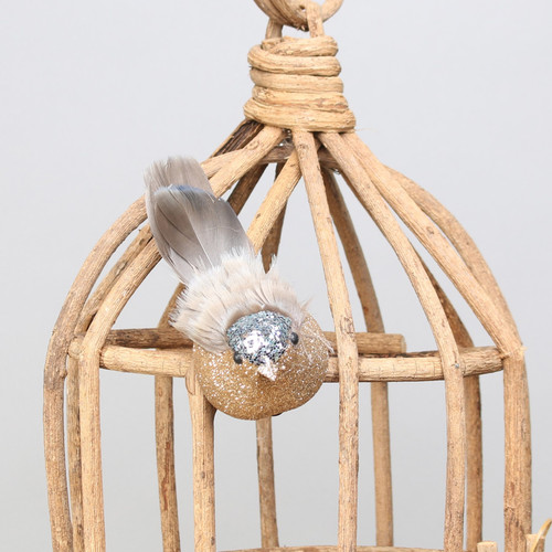 Silver Longtail Finch with clip Silver Longtail Finch with clip