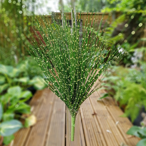 Zebrinus Grass Bush Zebrinus Grass Bush