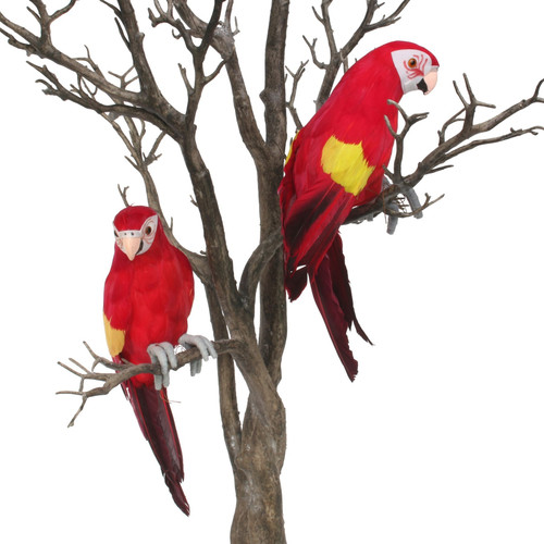 Red Perching Macaw Red Perching Macaw