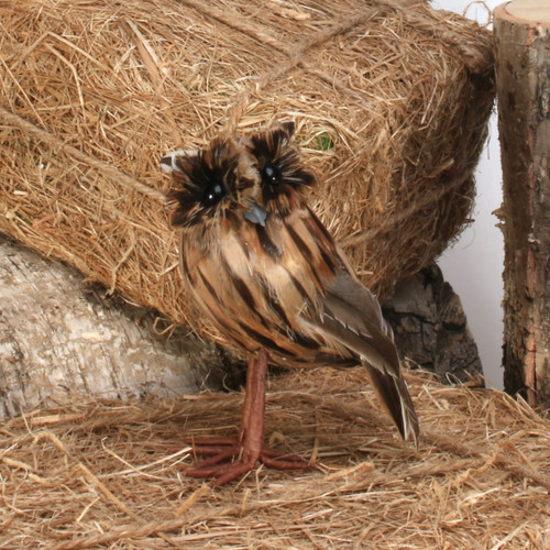 Tawny Owl Small Tawny Owl Small