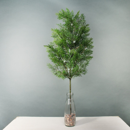 Cypress Spray Cypress Spray