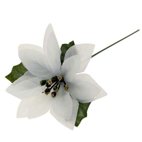 Single Stem White Poinsettia Single Stem White Poinsettia