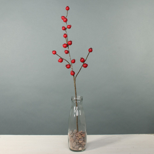 Exterior Rose Hip Exterior Rose Hip