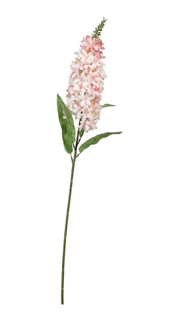 Pink Fantasia King Hyacinth (95cm)
