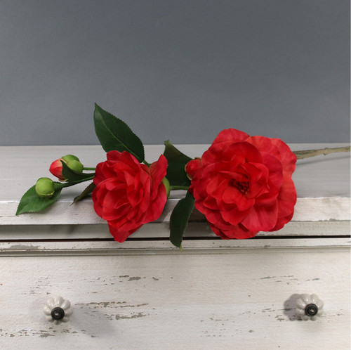 Tintagel Camelia Red Tintagel Camelia Red