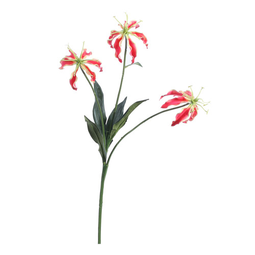 Red Gloriosa Spray (50cm) Red Gloriosa Spray (50cm)