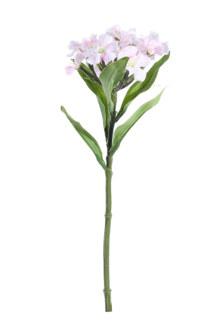 Cream / Pink Dianthus (32cm) Cream / Pink Dianthus (32cm)