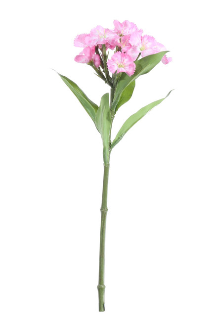Dark Pink Dianthus on a Short Stem (32cm) Dark Pink Dianthus on a Short Stem (32cm)