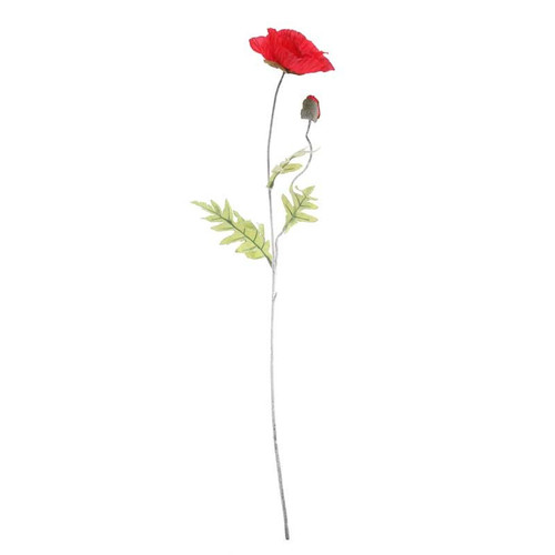 Large Poppy Red Large Poppy Red