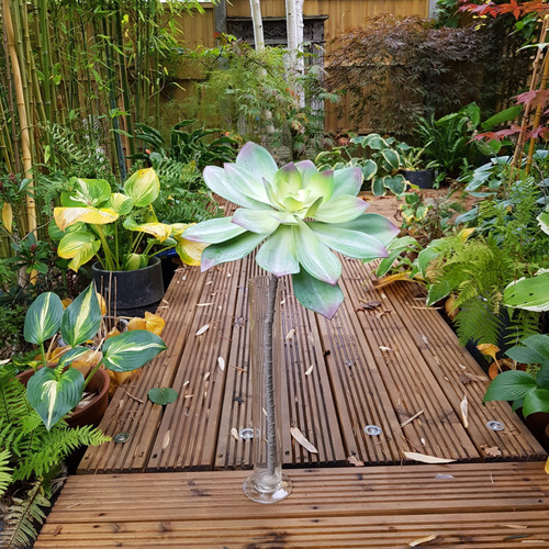 Green Succulent Spray Green Succulent Spray
