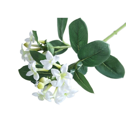 23inch Stephanotis Spray White & Green 23inch Stephanotis Spray White & Green