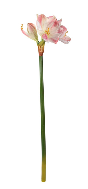 Clivia Spray (30 inch) Clivia Spray (30 inch)