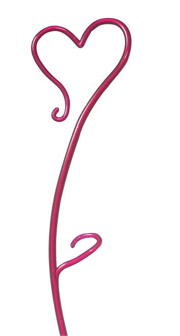 Orchid Stake Blackberry