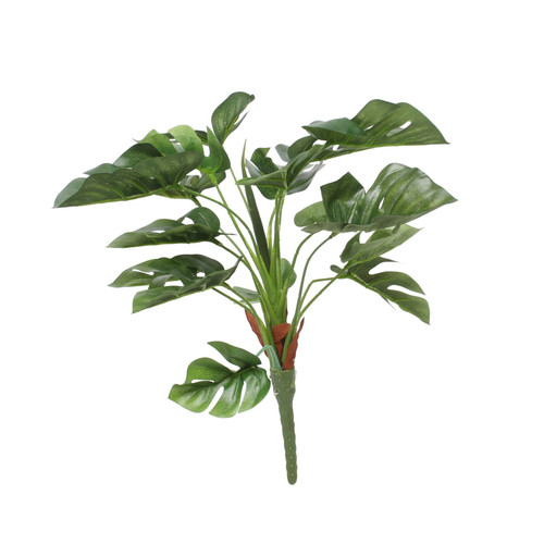 Split Philo Plant (38cm) Split Philo Plant (38cm)