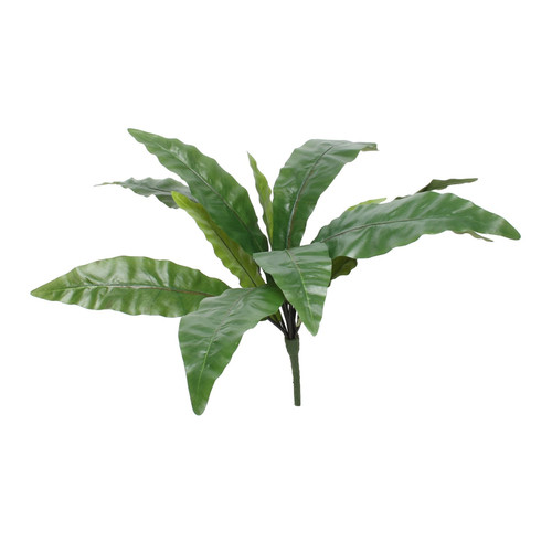 Bird Nest Fern Bush (25inch) Bird Nest Fern Bush (25inch)