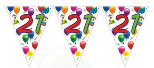 21st Birthday Flag Banner