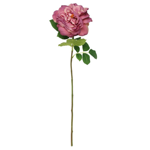 Balmoral Wild Rose Purple (65cm) Balmoral Wild Rose Purple (65cm)