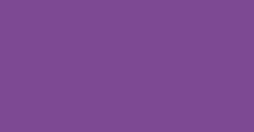 Regal Purple Euro-Aerosols Spray Paint Regal Purple Euro-Aerosols Spray Paint