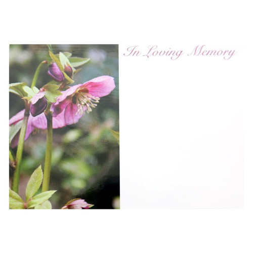 Large- In Loving Memory Helibores (x6) Large- In Loving Memory Helibores (x6)