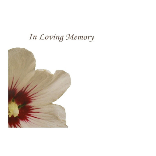 Large- In Loving Memory White Hibiscus (x6)