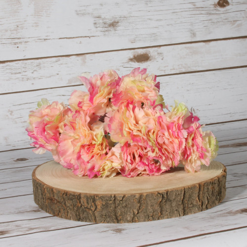 Cerise Single Carnations (12 Stems) Cerise Single Carnations (12 Stems)