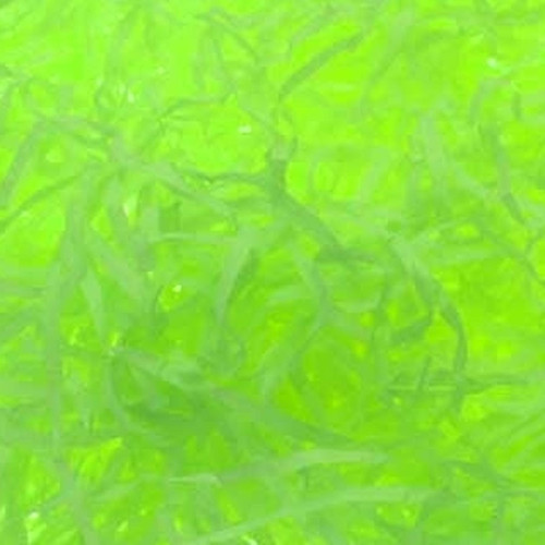 Lime Green Shredded Tissue (25 grams) Lime Green Shredded Tissue (25 grams)